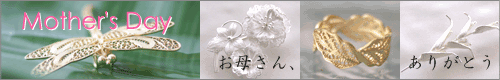母の日特集 母の日
