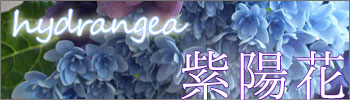 紫陽花の銀線細工ジュエリー