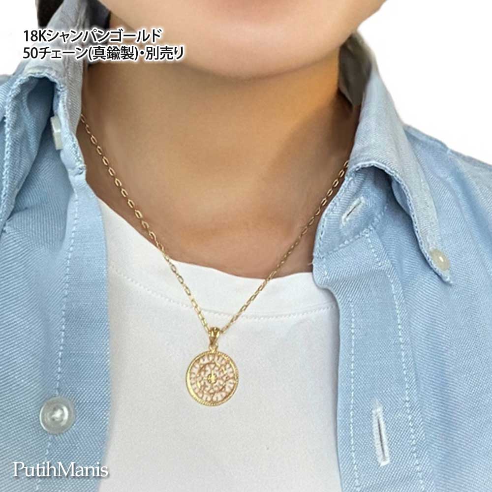 画像5: コインチャームネックレス・サークルチャームに透かしの銀線細工アイアンクロス [ch72-n-g]金属アレルギー